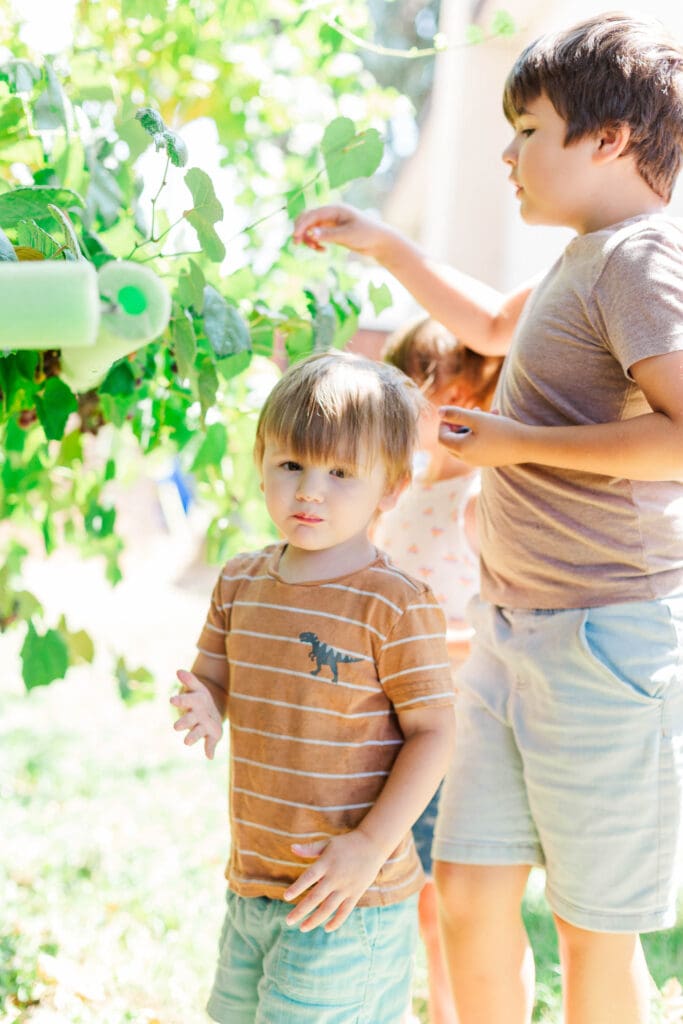 Little boy in an orange and white striped shirt is standing next to a grape vine and looking at the camera.